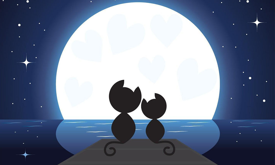 万宁潮客汇微信活动策划案例